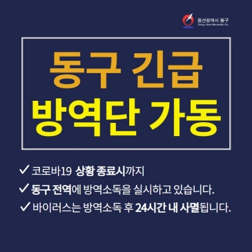 모든 동구민 마스크 무료배부 이미지
