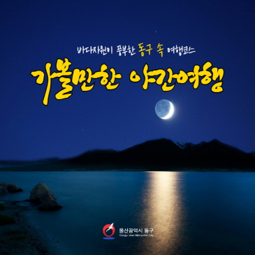 가볼만한 동구 야간여행 이미지