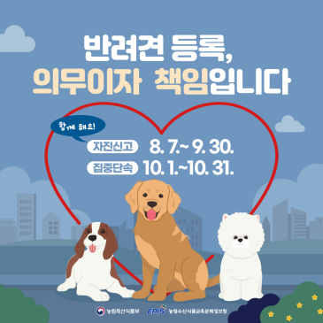 염포산터널 통제 이미지