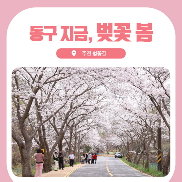 취임2주년 설문조사 참여이벤트 이미지