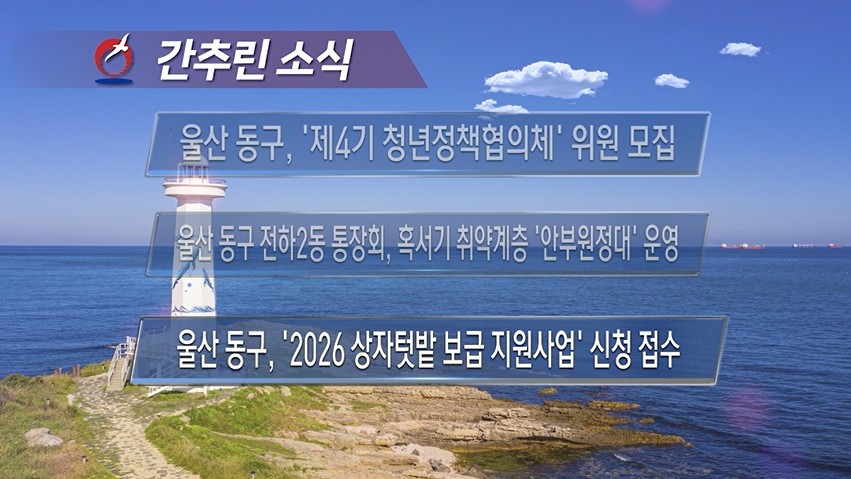 2026년 8월 둘째주 주간 브리핑