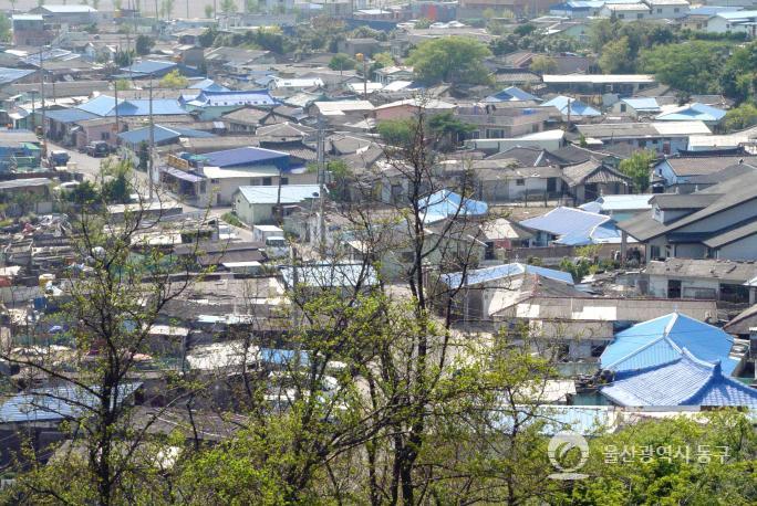 위에서내려다본일산진마을 의 사진