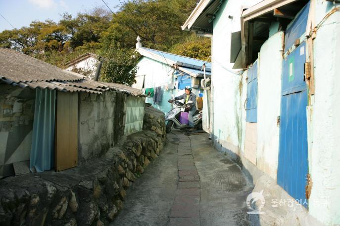 일산진마을골목 의 사진