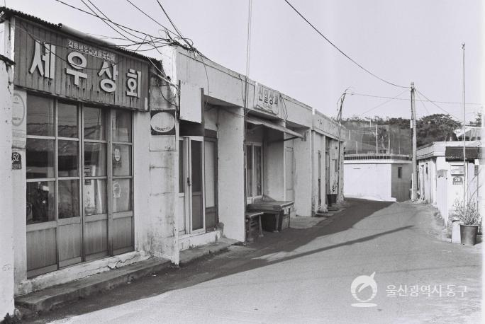 일산진마을골목(흑백) 의 사진