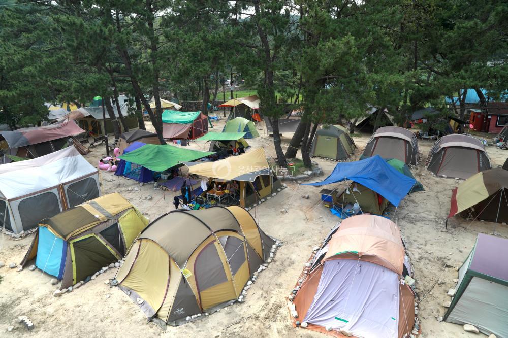 주전 가족 휴양지 의 사진