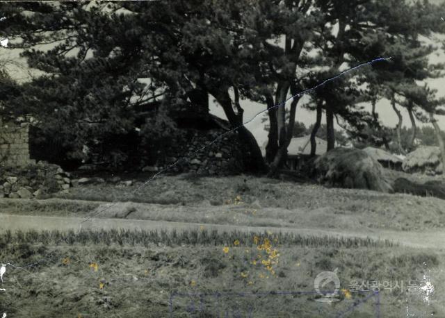 주전 제당의 사진