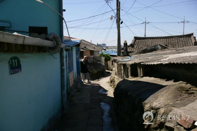 일산진마을골목 의 사진
