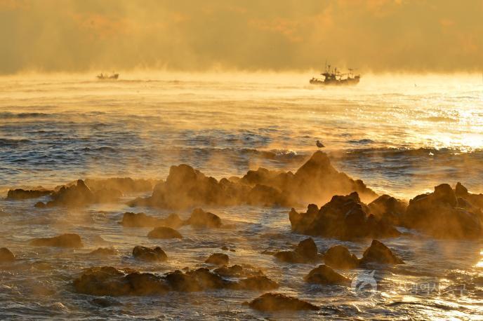 주전겨울바다 의 사진