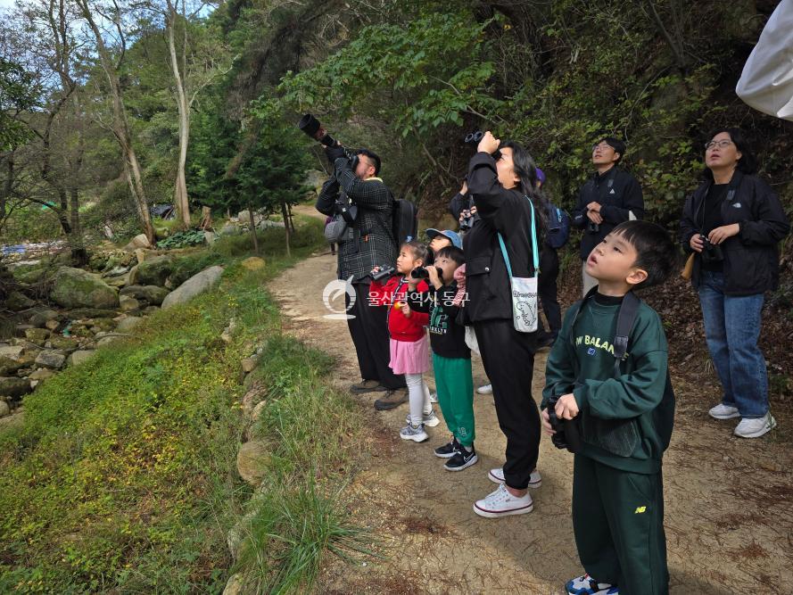 남목3동 남목숲체험의 사진