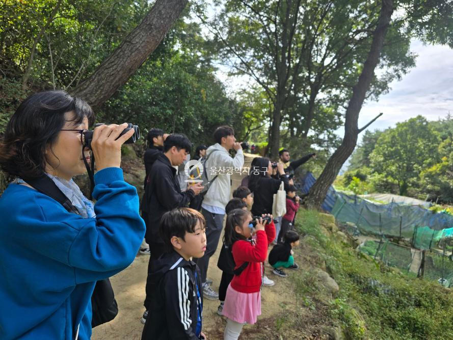 남목3동 남목숲체험의 사진