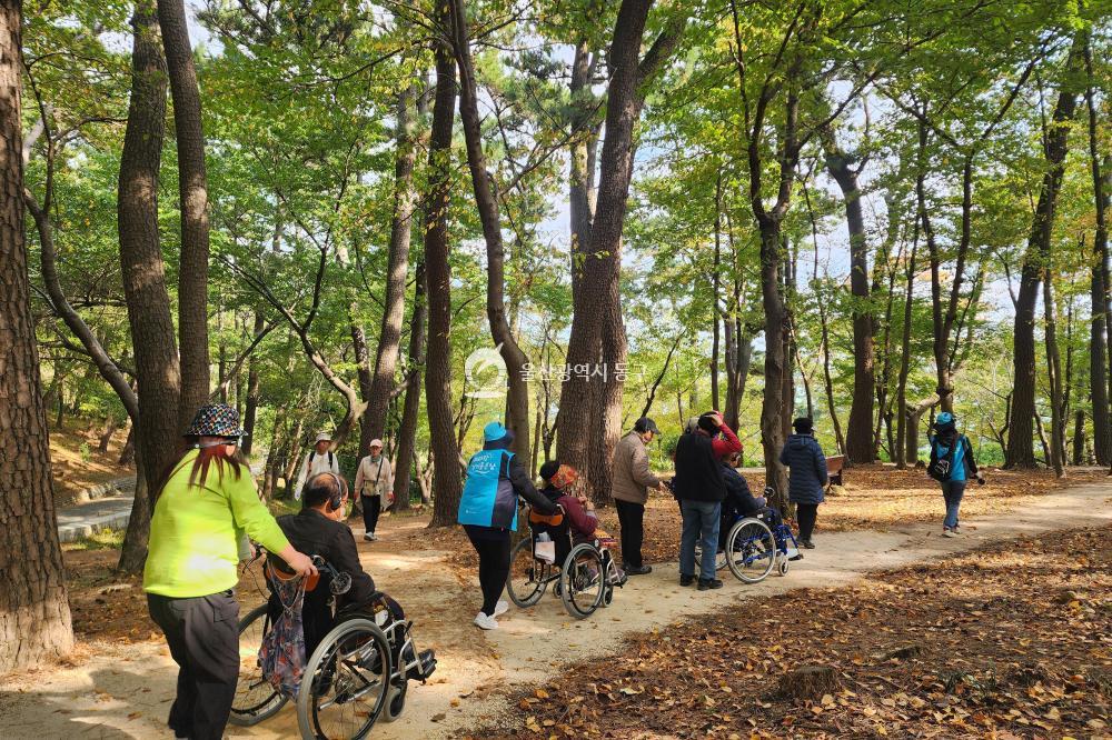 무장애 여행 ‘Free & Beyond’의 사진