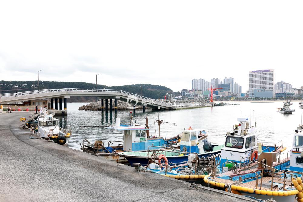 일산항 어촌신활력증진사업 준공식의 사진