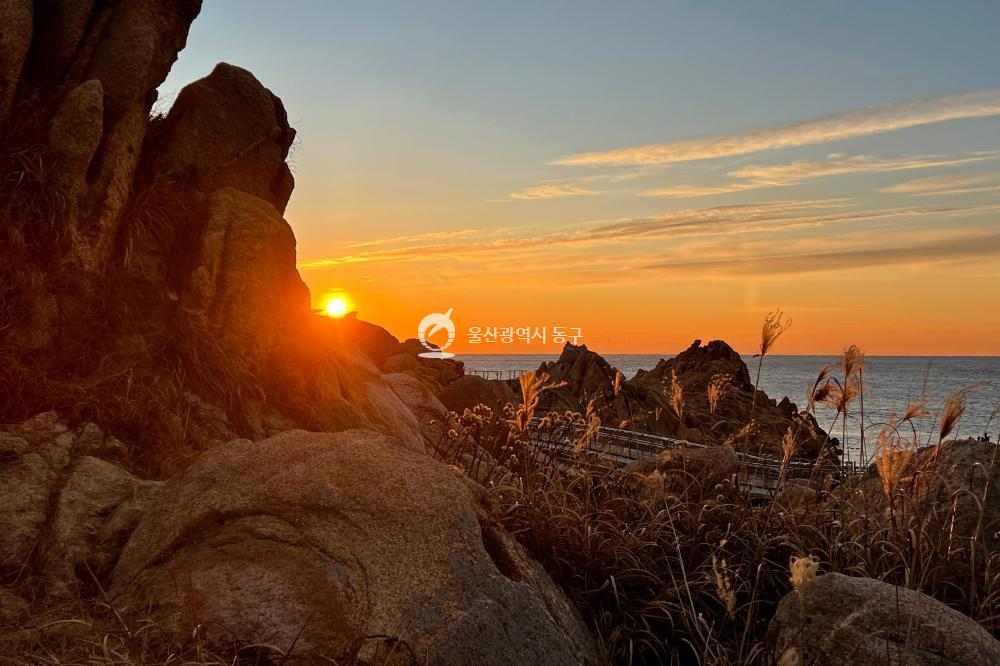 2026 대왕암 해맞이 축제의 사진