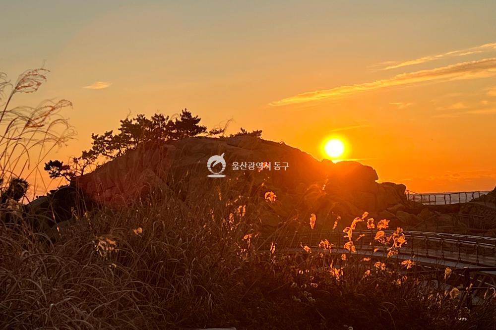2026 대왕암 해맞이 축제의 사진