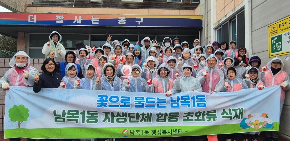 남목1동 초화류 식재행사