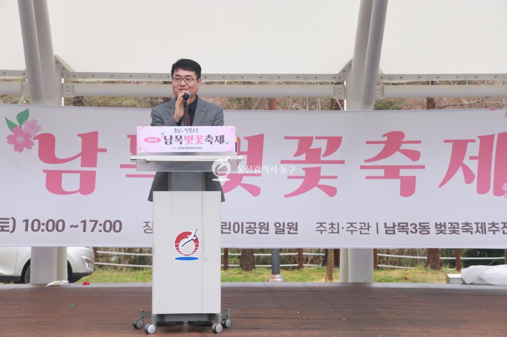 남목 벚꽃축제의 사진