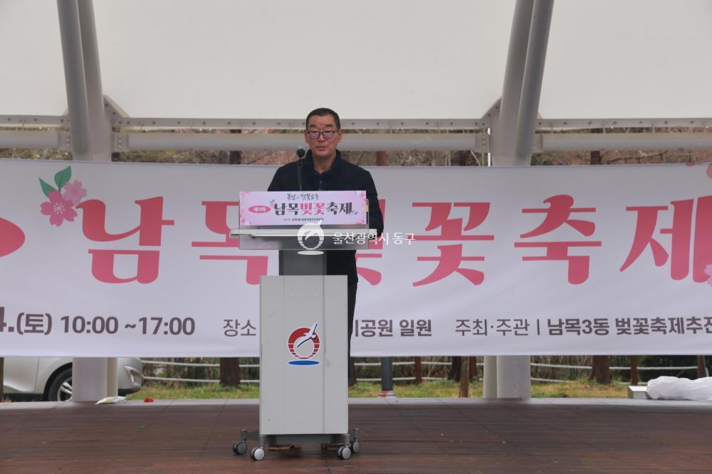 남목 벚꽃축제의 사진