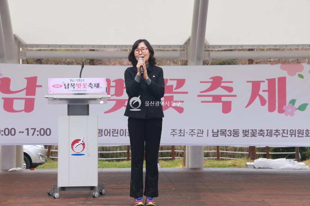 남목 벚꽃축제의 사진