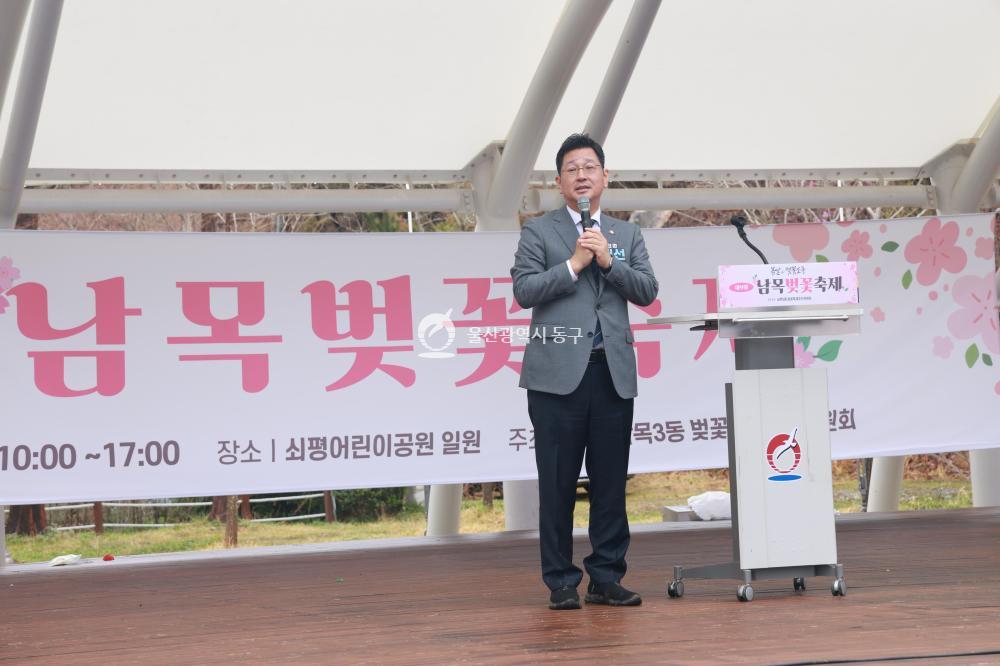 남목 벚꽃축제의 사진