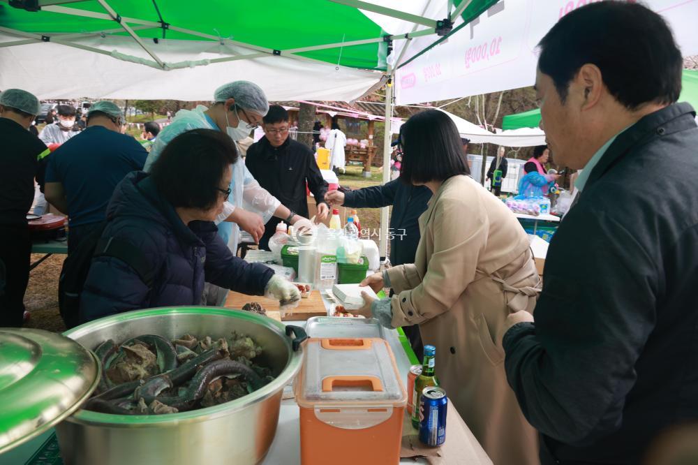 남목 벚꽃축제의 사진