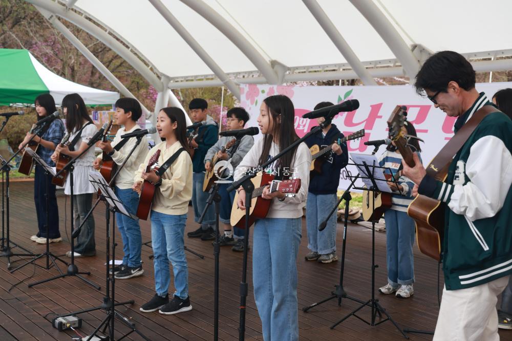 남목 벚꽃축제의 사진