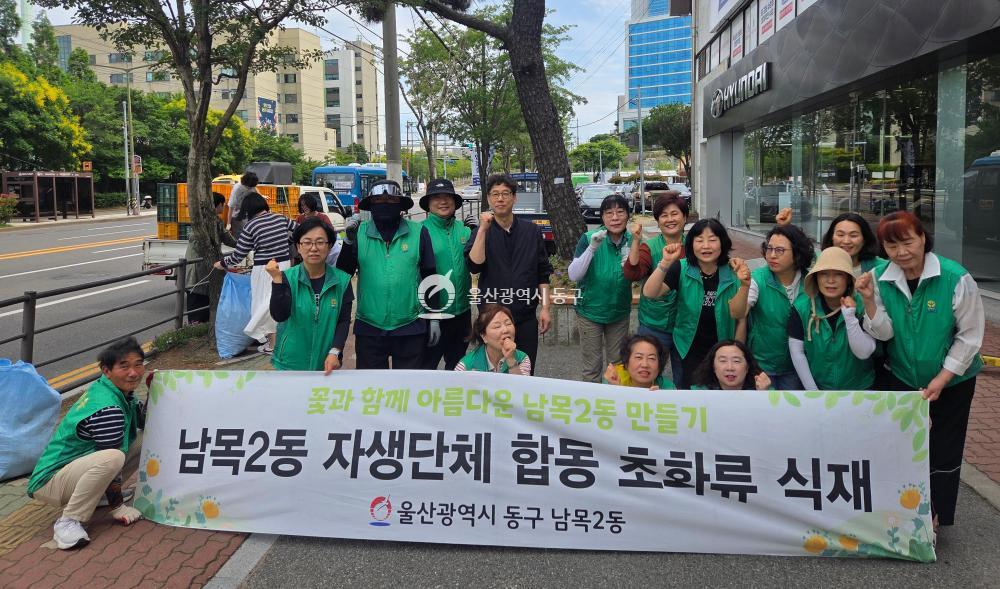 남목2동 여름 초화류 식재행사