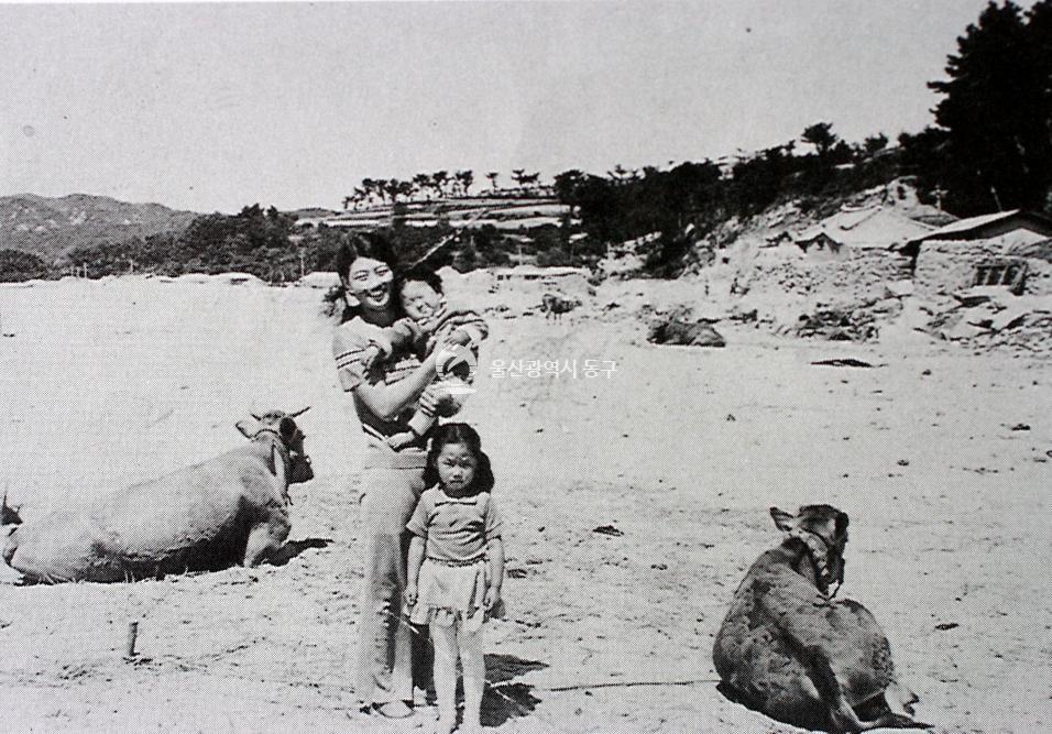 미포만 물양장과 마을 사람들  1964의 사진