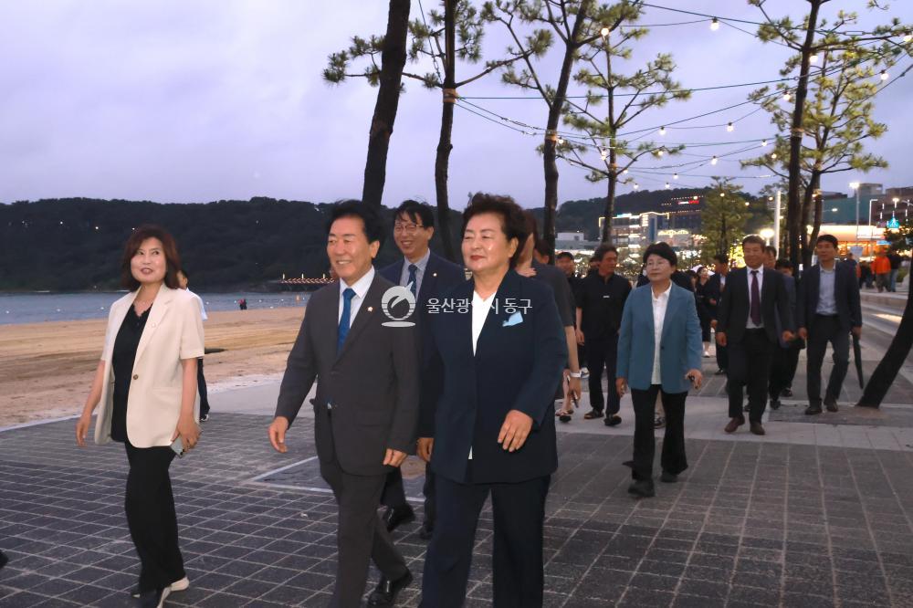일산해수욕장 개장식 및 점등식의 사진