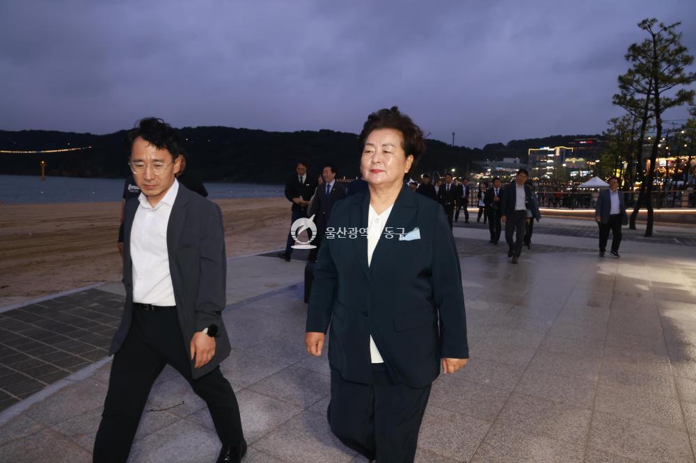 일산해수욕장 개장식 및 점등식의 사진