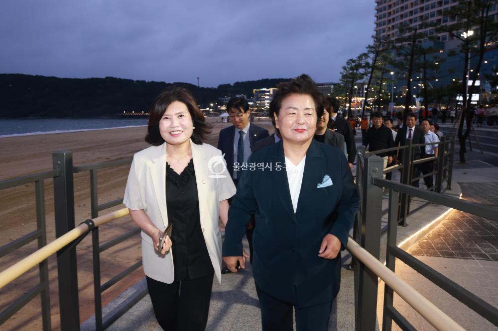 일산해수욕장 개장식 및 점등식의 사진