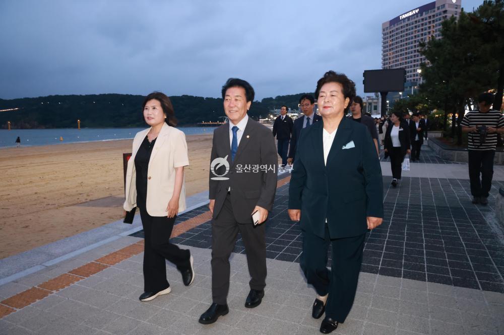 일산해수욕장 개장식 및 점등식의 사진