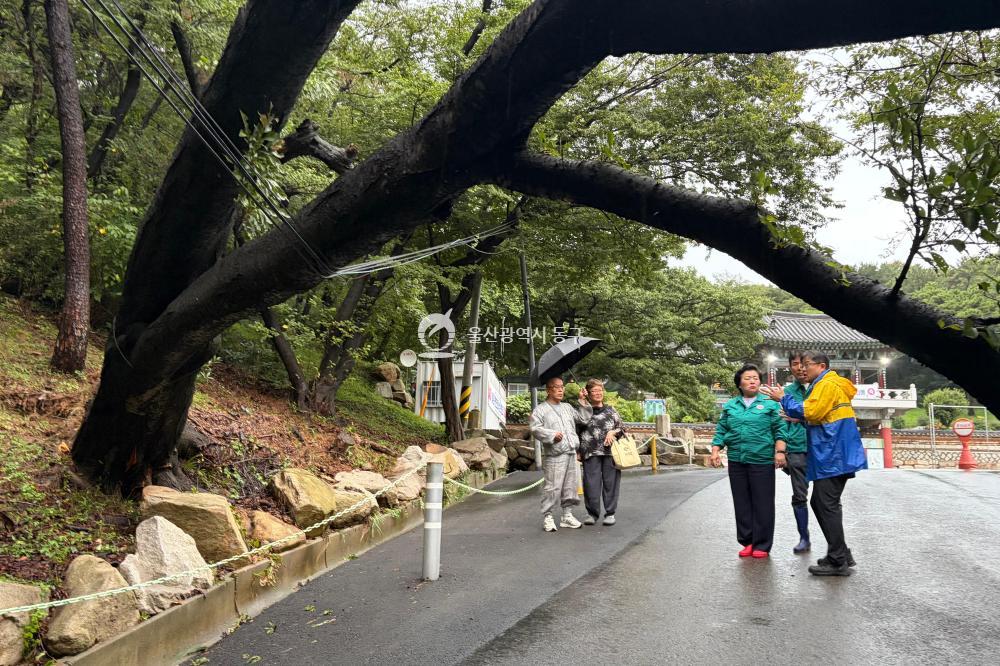집중호우 피해지역 현장방문의 사진