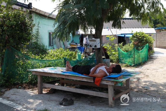 성끝마을 낮잠자는주민 의 사진
