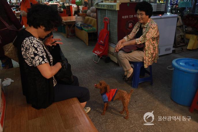 동울산시장풍경의 사진