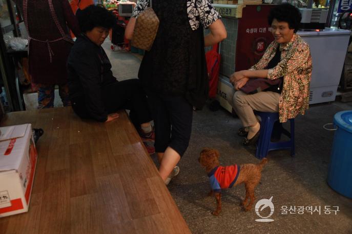 동울산시장풍경의 사진