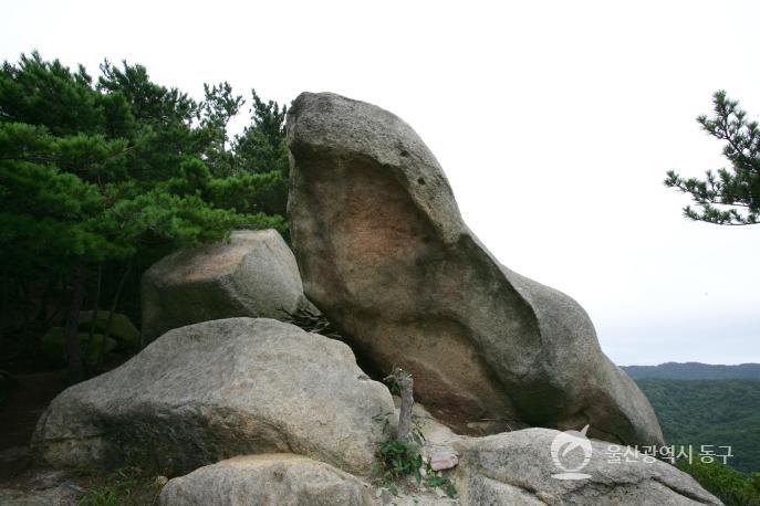 두꺼비바위 의 사진