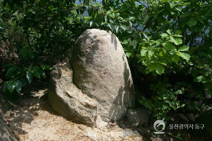 바위 의 사진