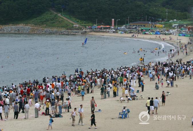 제3회 동구해변축제 의 사진