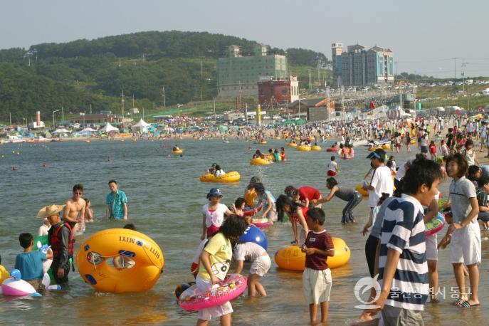 제4회 동구해변축제 의 사진