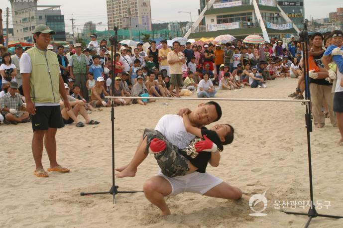 제6회 동구해변축제 의 사진