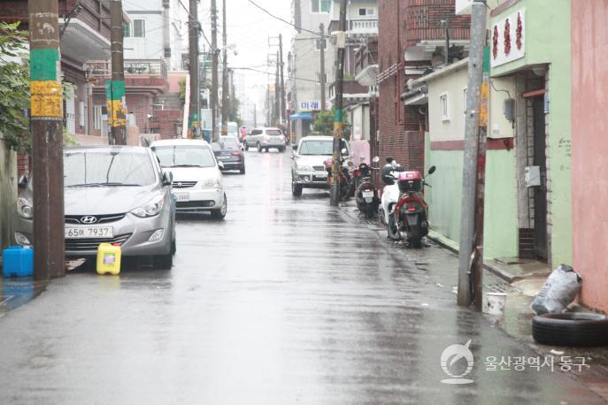 담장허물기 시범사업 현장방문 의 사진