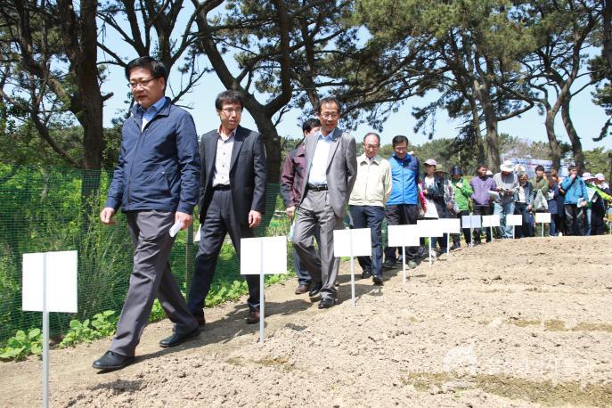 도시농장개장식 의 사진