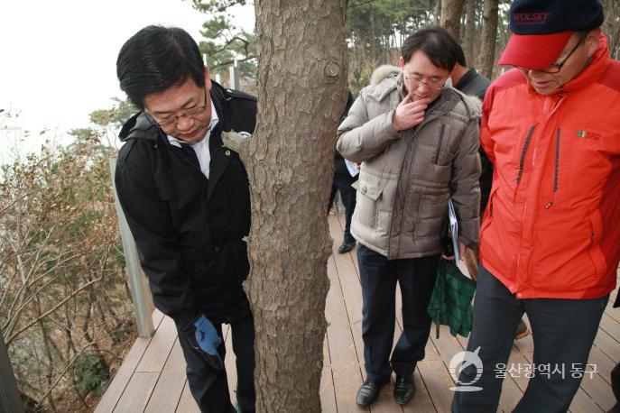 대왕암공원 현장방문 의 사진