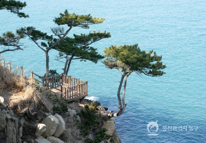 https://photo.donggu.ulsan.kr/photoImageView/preview/5017.do