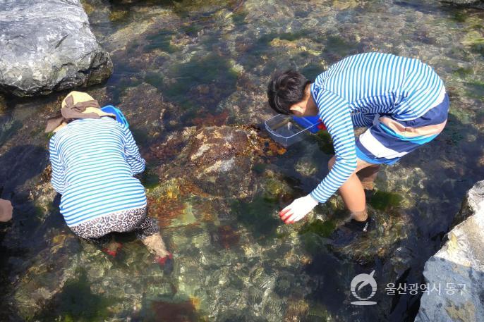 주전생태체험장 의 사진