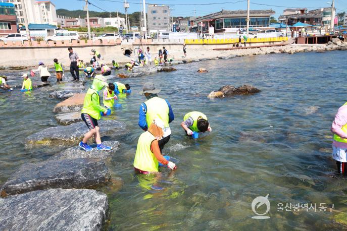 주전생태체험장 의 사진