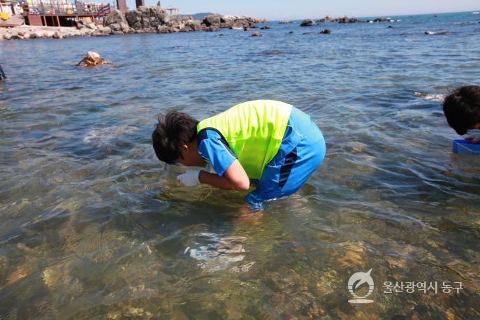 주전생태체험장 의 사진