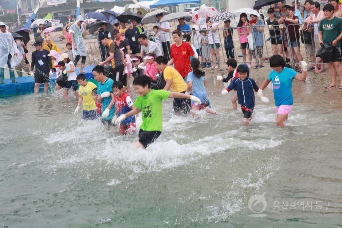 2013울산조선해양축제 의 사진