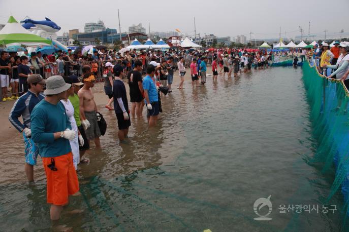 2013울산조선해양축제 의 사진