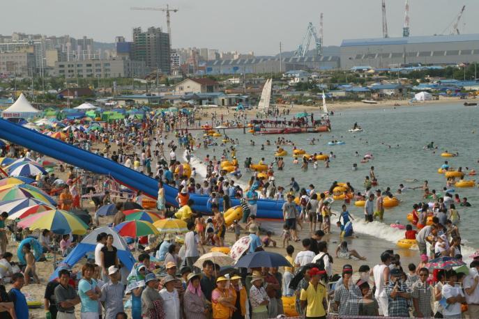 제5회 동구해변축제 의 사진